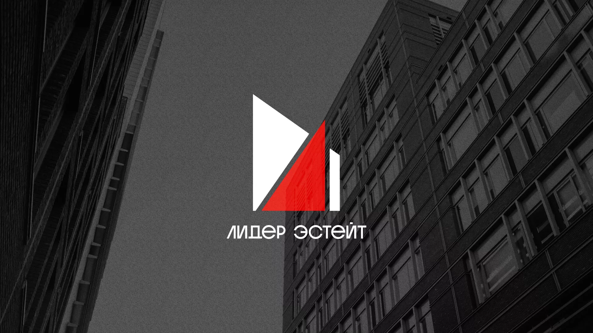 Сделали логотип для агентства недвижимости «Лидер Эстейт» в Киселёвске
